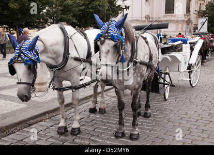 Chevaux gris sur la place de la vieille ville, Prague, République tchèque Banque D'Images