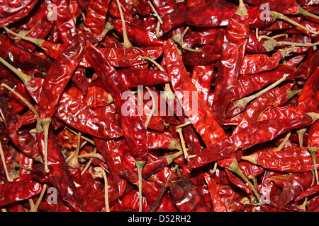 Piments rouges séchés dans un marché sri-lankais Banque D'Images