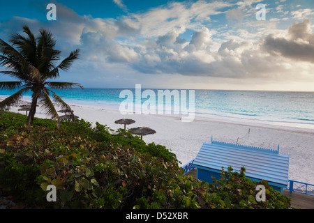 Bahamas, Île Eleuthera, Harbour Island, Pink Sands Beach, matin Banque D'Images