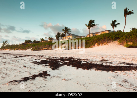 Bahamas, Île Eleuthera, Harbour Island, Pink Sands Beach, matin Banque D'Images