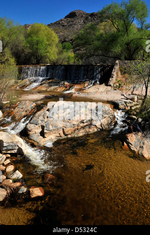 L'eau s'écoule dans le ruisseau, Sabino Sabino Canyon Recreation Area, Coronado National Forest, désert de Sonora, Tucson, Arizona, USA. Banque D'Images