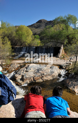 L'eau s'écoule dans le ruisseau, Sabino Sabino Canyon Recreation Area, Coronado National Forest, désert de Sonora, Tucson, Arizona, USA. Banque D'Images