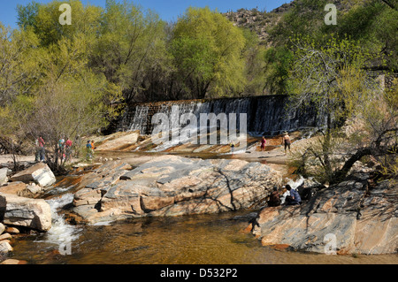 L'eau s'écoule dans le ruisseau, Sabino Sabino Canyon Recreation Area, Coronado National Forest, désert de Sonora, Tucson, Arizona, USA. Banque D'Images