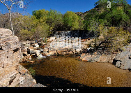 L'eau s'écoule dans le ruisseau, Sabino Sabino Canyon Recreation Area, Coronado National Forest, désert de Sonora, Tucson, Arizona, USA. Banque D'Images