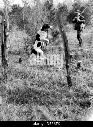 Un chasseur et son chien participent à la chasse à la caille à de Funiak Springs, en Floride. La photographie capture la tradition de chasse dans le comté de Walton, en Floride, avec des chiens et des chasseurs en plein air. Banque D'Images