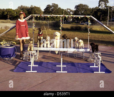 Barbara Lee Loi chien à l'école secondaire Sailor Circus Sarasota Banque D'Images