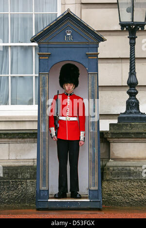 Londres, Royaume-Uni. 23 mars 2013. La Garde Royale à Buckingham Palace a ordonné de changer dans leur uniforme d'été rouge du 23 mars - n'importe quel temps et devait se tenir dans le froid et la neige comme La Relève de la garde a été annulée à Londres, en Angleterre. Le 1er Bataillon Welsh Guards ont été les premiers à effectuer la nouvelle garde et déposer les grands manteaux gris Athol. Crédit : Paul Brown / Alamy Live News Banque D'Images