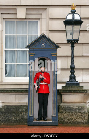 Londres, Royaume-Uni. 23 mars 2013. La Garde Royale à Buckingham Palace a ordonné de changer dans leur uniforme d'été rouge du 23 mars - n'importe quel temps et devait se tenir dans le froid et la neige comme La Relève de la garde a été annulée à Londres, en Angleterre. Le 1er Bataillon Welsh Guards ont été les premiers à effectuer la nouvelle garde et déposer les grands manteaux gris Athol. Crédit : Paul Brown / Alamy Live News Banque D'Images