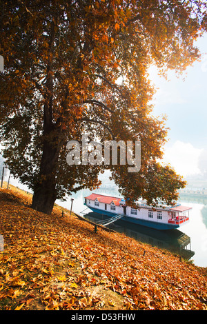 Bateau dans la rivière, de la rivière Jhelum, Srinagar, Jammu-et-Cachemire, l'Inde Banque D'Images