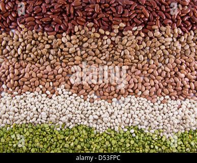 Ligne horizontale de haricots secs (pois vert, du rein, de la marine et pinto) Banque D'Images