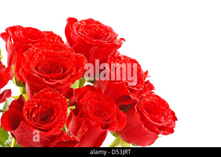 Bouquet de trois roses rouges isolé sur fond blanc Banque D'Images