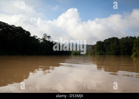 Rainforest entourant l'une des armes blanches sur le côté ouest de lac Gatun, République du Panama. Banque D'Images