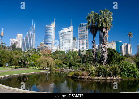 Royal Botanic Gardens avec CBD skyline derrière Sydney New South Wales (NSW) Australie Banque D'Images