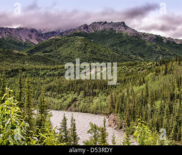 26 juin 2012 - L'Arrondissement de Denali, Alaska, États-Unis - la rivière Nenana, rivière d'eau vive les plus populaires en Alaska, forme la limite est du parc national Denali, avec la chaîne de l'Alaska montagnes au loin. (Crédit Image : © Arnold Drapkin/ZUMAPRESS.com) Banque D'Images