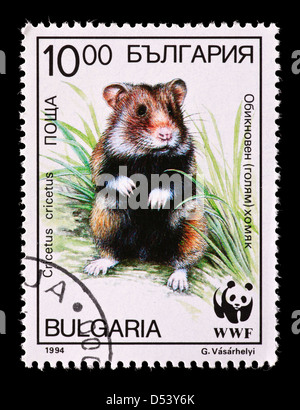 Timbre-poste de la Bulgarie représentant un grand hamster (Cricetus cricetus) Banque D'Images