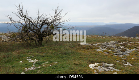 Le mouvement des nuages sur la montagne. La Crimée. L'Ukraine. Baba-Dag du plateau. Mangup-Kale Cave City. XIV-XVIII siècles Banque D'Images