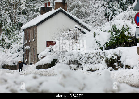 Llangollen, Wales, UK. Le 24 mars 2013. La neige est 80cms de profondeur dans des endroits à Llangollen et beaucoup de visiteurs pris au piège le vendredi soir, lorsque le poids de la neige ont rendu les routes impraticables, maintenant faire une tentative de creuser leurs voitures et rentrer chez eux. Les sections locales également essayer d'obtenir leurs véhicules libres pour travailler demain. La neige continue de tomber, mais moins fortement et les températures restent sous zéro. Crédit photo : Graham M. Lawrence/Alamy Live News. Banque D'Images