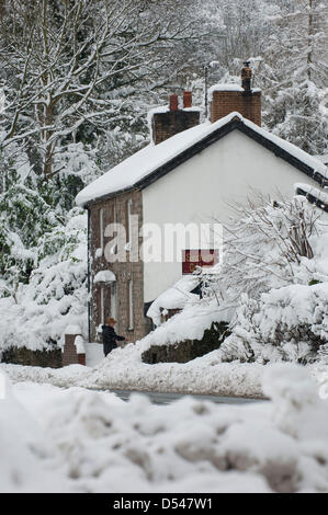 Llangollen, Wales, UK. Le 24 mars 2013. La neige est 80cms de profondeur dans des endroits à Llangollen et beaucoup de visiteurs pris au piège le vendredi soir, lorsque le poids de la neige ont rendu les routes impraticables, maintenant faire une tentative de creuser leurs voitures et rentrer chez eux. Les sections locales également essayer d'obtenir leurs véhicules libres pour travailler demain. La neige continue de tomber, mais moins fortement et les températures restent sous zéro. Crédit photo : Graham M. Lawrence/Alamy Live News. Banque D'Images