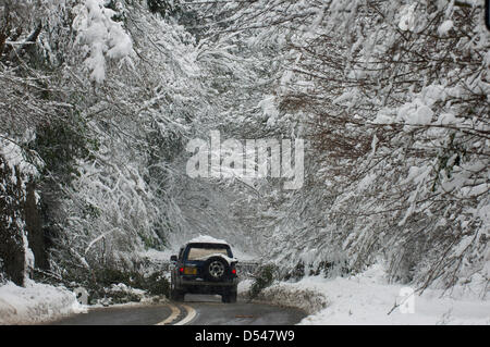 Llangollen, Wales, UK. 24 mars 2013.Les véhicules négocier des arbres tombés sur la route A5. La neige est 80cms de profondeur dans des endroits à Llangollen et beaucoup de visiteurs pris au piège le vendredi soir, lorsque le poids de la neige ont rendu les routes impraticables, maintenant faire une tentative de creuser leurs voitures et rentrer chez eux. Les sections locales également essayer d'obtenir leurs véhicules libres pour travailler demain. La neige continue de tomber, mais moins fortement et les températures restent sous zéro. Crédit photo : Graham M. Lawrence/Alamy Live News. Banque D'Images