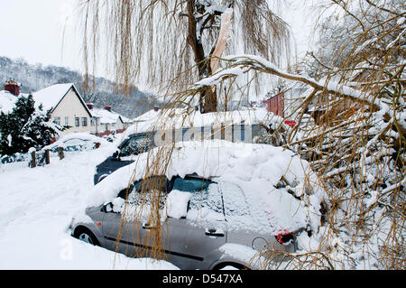 Llangollen, Wales, UK. Le 24 mars 2013. Une grosse branche est tombée sur les véhicules en raison de forts vents. La neige est 80cms de profondeur dans des endroits à Llangollen et beaucoup de visiteurs pris au piège le vendredi soir, lorsque le poids de la neige ont rendu les routes impraticables, maintenant faire une tentative de creuser leurs voitures et rentrer chez eux. Les sections locales également essayer d'obtenir leurs véhicules libres pour travailler demain. La neige continue de tomber, mais moins fortement et les températures restent sous zéro. Crédit photo : Graham M. Lawrence/Alamy Live News. Banque D'Images