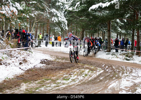 Sherwood Pines,Notts.UK. Le 24 mars 2013. Série 1 de la British national cyclisme vtt cross country, ronde 1. Competiters la race en hiver condidtions, avec la neige et le grésil. Puis un peu de dégel transforme le sol en une boue épaisse surface.La course élite hommes était de cinq tours de Sherwood pines liguria.Photo.Kenta Gallagher.(7). Banque D'Images