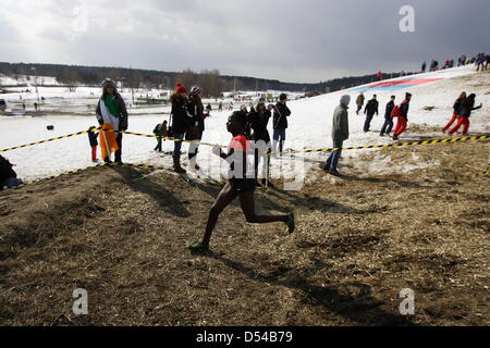 Bydgoszcz, Pologne 24e, mars 2013 Championnats du Monde de cross-country. Chamiponships Femme course senior. Banque D'Images