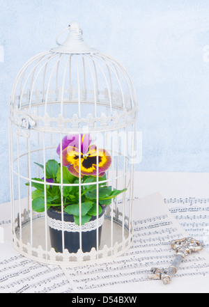 Jaune et violet pensées dans une cage à oiseau blanc, décoré de violet, bow note suivante et clé Banque D'Images