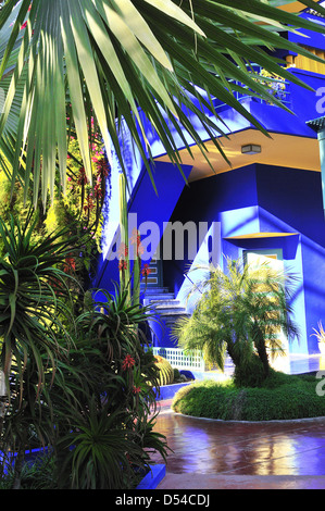 L'éclat des couleurs -le bleu de cobalt et le jaune de chrome et ses pots cactus ornent les murs de la chambre au Jardin Majorelle ou Jardin Majorelle, Marrakech, Maroc Banque D'Images