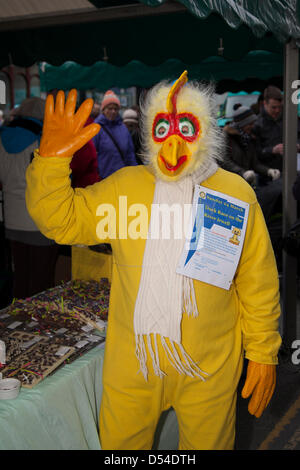 Ramsbottom, Lancashire, UK Dimanche 24 Mars, 2013. Keith Cowley au Rotary Mascot dans un costume de canard ou de poulet jaune à la 5e édition de la fête du chocolat, qui s'est tenue à la rue Bridge, Ramsbottom. Le gagnant du Prix du tourisme 2012 Manchester "Meilleur petit événement." Deux jours de marché du chocolat avec un repas en plein air, de la bière tente, Children's craft sessions, et une mini ferme. Banque D'Images