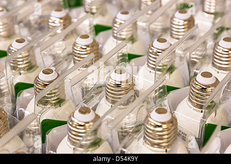 Grande vis Edison ampoules basse énergie dans des cartons, UK Banque D'Images