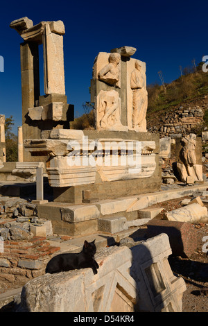 Au secours de pierre Monument Memmius Curetes rue avec feral chat noir dans les ruines d'Ephèse Turquie Banque D'Images