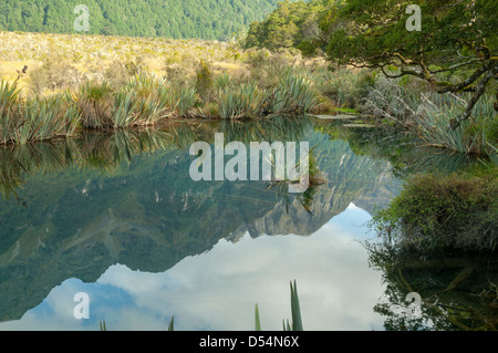 Les reflets dans le lac Mirror, Eglinton Valley Banque D'Images