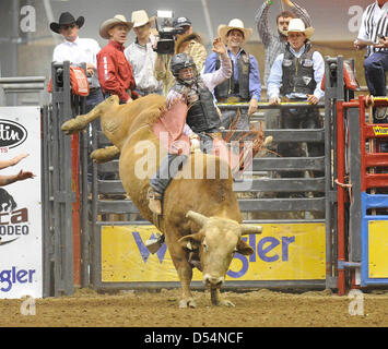 Fort Mohave, Arizona, USA. Le 24 mars 2013. L'érythroblastopénie Xtreme bull rider Cooper Davis de Jasper, au Texas rides Pause Café au score du 85 au cours de la Classique Taureaux Fort Mohave Xtreme tour rodeo à Mohave Crossing Event Center à Fort Mohave, AZ Crédit : Cal Sport Media / Alamy Live News Banque D'Images