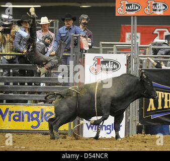 Fort Mohave, Arizona, USA. Le 24 mars 2013. L'érythroblastopénie Xtreme bull rider Cody Dollins, de Stephenville, au Texas vole dans l'air après avoir été s'éteint un taureau pendant le Fort Mohave Classic Xtreme Bulls tour rodeo à Mohave Crossing Event Center à Fort Mohave, AZ Crédit : Cal Sport Media / Alamy Live News Banque D'Images