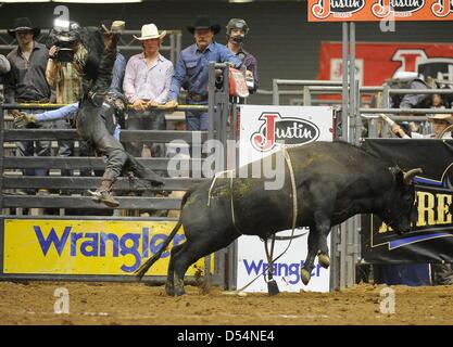 Fort Mohave, Arizona, USA. Le 24 mars 2013. L'érythroblastopénie Xtreme bull rider Cody Dollins, de Stephenville, au Texas vole dans l'air après avoir été s'éteint un taureau pendant le Fort Mohave Classic Xtreme Bulls tour rodeo à Mohave Crossing Event Center à Fort Mohave, AZ Crédit : Cal Sport Media / Alamy Live News Banque D'Images