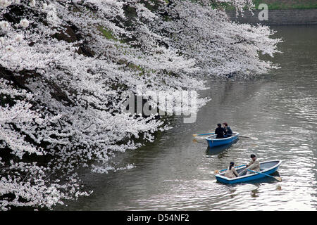 Tokyo, Japon. Le 24 mars 2013. Tokyo, Japon - Les gens aiment les fleurs de cerisier sur le bateau à l'Imperial Palace. Cherry Blossoms bloom 10 jours plus tôt que d'habitude année le long de la zone du Palais Impérial. Ce dimanche, le 24 mars 2013, les étudiants assistent à des diplômes à Nippon Budokan et mélangés avec les visiteurs de prendre des photos de fleurs de cerisiers le long parc Kitanomaru & Chidorigafuchi. (Photo de Rodrigo Reyes Marin/AFLO/Alamy Live News) Banque D'Images