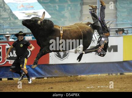 Fort Mohave, Arizona, USA. Le 24 mars 2013. L'érythroblastopénie Xtreme bull rider Todd Stewart, de Stephenville, au Texas vole dans l'air après avoir été s'éteint un taureau pendant le Fort Mohave Classic Xtreme Bulls tour rodeo à Mohave Crossing Event Center à Fort Mohave, AZ Crédit : Cal Sport Media / Alamy Live News Banque D'Images