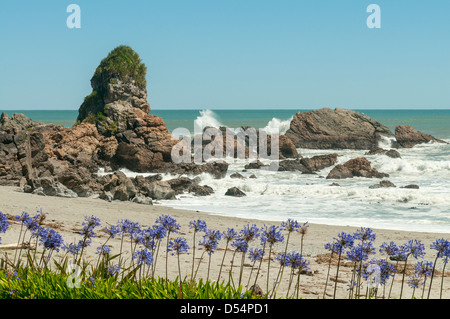 Promontoire rocheux au Hatters Bay Beach, Punakaiki, Nouvelle-Zélande Banque D'Images