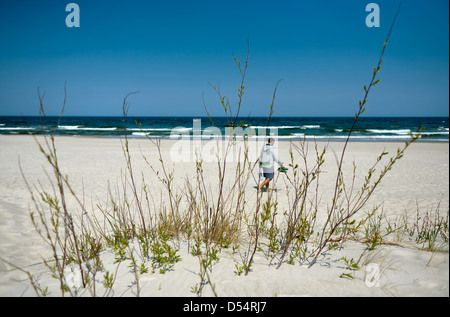 Champ Kiss, Pologne, sur la plage Baltique herbes Banque D'Images