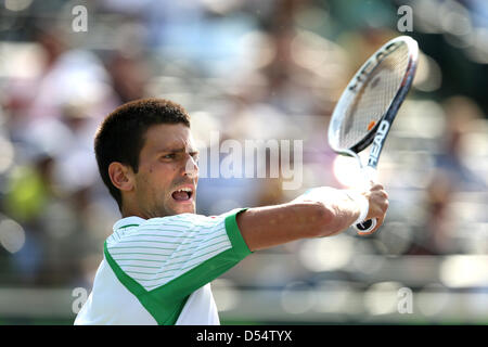 Miami, Floride, USA. Le 24 mars 2013. Novak Djokovic la Serbie en action au Sony Open 2013. Credit : Mauricio Paiz / Alamy Live News Banque D'Images