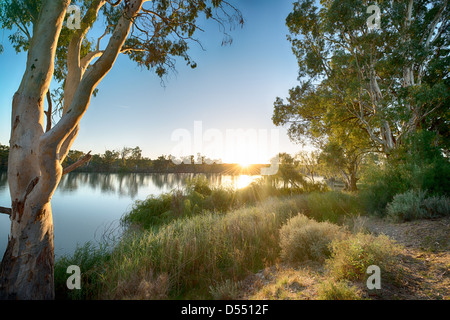 Lever du soleil à Punyelroo sur la rivière Murray en Australie du Sud. Banque D'Images