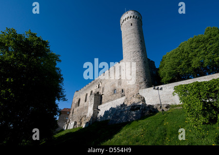 La tour Pikk Hermann, une partie de château de Toompea est joint au parlement estonien dans la vieille ville de Tallinn, Tallinn Estonie, Banque D'Images