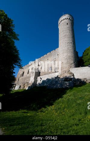 La tour Pikk Hermann, qui fait partie du château de Toompea, est rattachée au Parlement estonien de la vieille ville de Tallinn, en Estonie Banque D'Images