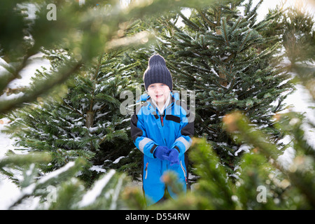 Garçon debout dans beaucoup d'arbres de Noël Banque D'Images