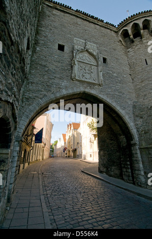 Grande porte côtière (Suur Rannavärov) à l'extrémité nord de Pikk dans la vieille ville de Tallinn, Tallinn, Estonie, Etats baltes. Banque D'Images