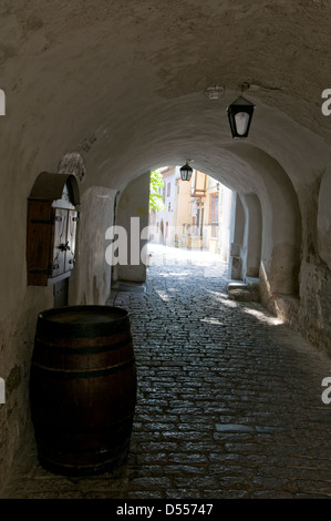 Katariina Käik - St Catherine's passage dans la vieille ville de Tallinn, Tallinn, Estonie, pays baltes. Banque D'Images