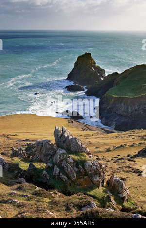 Les roches d'avant-plan et au promontoire de roche Kynance Cove, Cornwall Banque D'Images