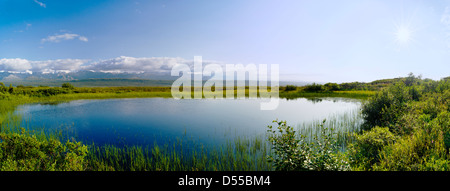 Vue panoramique de la chaîne de l'Alaska dont Mt. McKinley (Denali Mountain) de la réflexion étang, Denali National Park, Alaska, USA. Banque D'Images