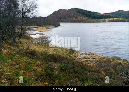 Loch Ruthven, près de la réserve RSPB un Dores dans l'Inverness-shire, Scotland Banque D'Images