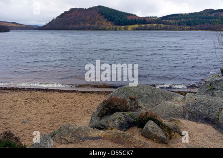 Les rives du Loch Ruthven, une réserve près de RSPB Dores dans l'Inverness-shire, Scotland Banque D'Images